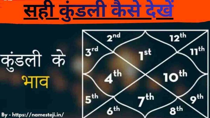 सही कुंडली कैसे देखें - ज्योतिष विशेषज्ञ द्वारा जन्म कुंडली में ग्रहों और भावों का सही विश्लेषण करते हुए दृश्य