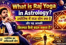 What is Raj Yoga in Astrology? | ज्योतिष में राज योग क्या है और यह आपकी किस्मत कैसे बदल सकता है? What is Raj Yoga in Astrology, कुंडली में राज योग, गजकेसरी राज योग, धर्म कर्म राज योग और राज योग के लाभ दर्शाता ज्योतिषीय चार्ट